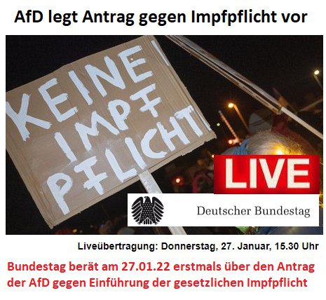 2022_01_27_Bundestag_berät_AfD_Antrag.JPG